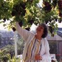 joyce hatley - @windermag - Twitter