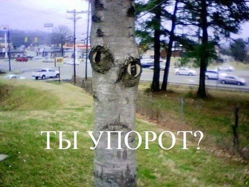 #ВзаимныйФолловинг       читаю всееееееееееееееееех))
