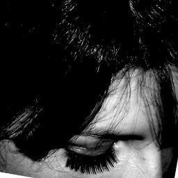 Studentessa universitaria appassionata di lingua, cultura e letteratura araba.