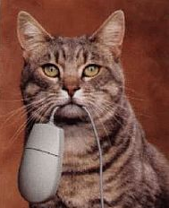 tonyblogt's profile picture. Leuke tips, trucs & workshops rond Windows XP, Vista en Windows 7