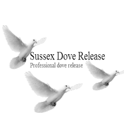 ★ Professional white dove release for any occasion in East Sussex. A white dove release is an amazing spectacle so why not let us provide you with one! ★