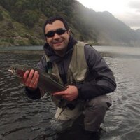 Felipe81 (@drfelipe81) 's Twitter Profile