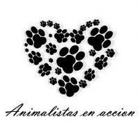 Animalistas EnAccion (@animalistasena) 's Twitter Profile