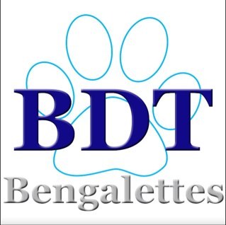 BlaineDanceTeam's profile picture. This page is to communicate events to current members of the Blaine Dance Team, fans and alumni.