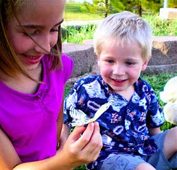 Fractional Farm Ownership - real solution to moving fresh local food to families.