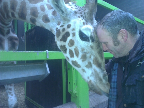 45 year old zoo keeping, song writing, animal loving, travel enthusiast.