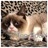 GrumpyTechCat