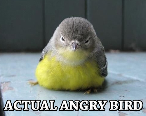 Your1Backup's profile picture. I wear body armor for a living, so anything you say is probably gonna bounce off too. Angel made it out of the alley alive. Handcuff instructor for the Greys