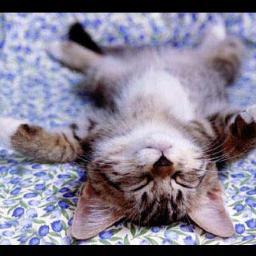 NadaBlues's profile picture. 