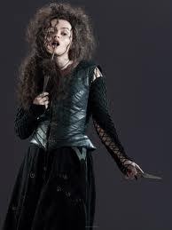 Pure Blood, Noble And Most Ancient House Of Black, Death Eater, His Last Best Lieutenant, Toujours Pur, HP RP