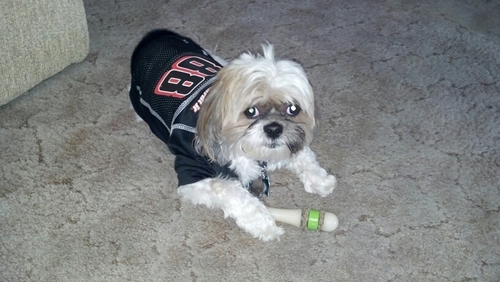 teralee86's profile picture. Vegas girl, likes hiking,shopping, hanging with friends, Nascar, and VGK hockey, Go Knights Go