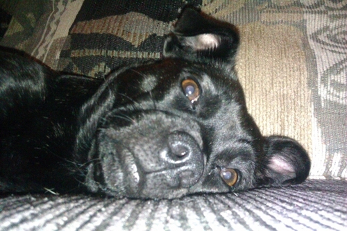 JTallieu's profile picture. 