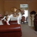 leah hickman - @leah_hickman - Twitter