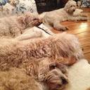 Jay Henley - @Jayretrotennis - Twitter