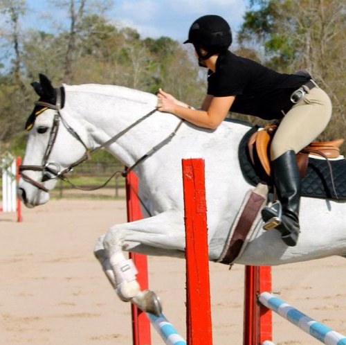 Being a jumper isn't all that easy. God gave us horses because diamonds weren't good enough. Zone 7. #TeamJumper