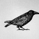 Marion Appel - @maoryzae - Twitter