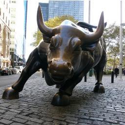 Tecnologo en comercio internacional, administrador financiero, especialista en finanzas y mercado de capitales, certificado amv, las opiniones son personales.