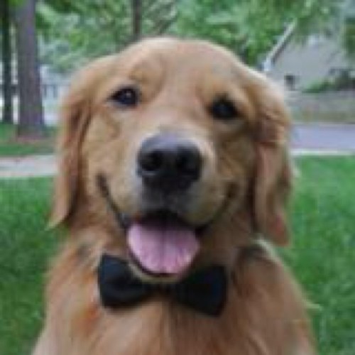 AmyOechsli's profile picture. 