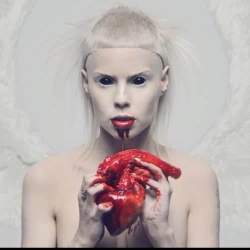 ausmura's profile picture. 