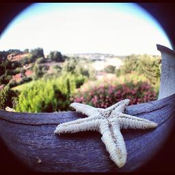 Sara_dsousa's profile picture. Miles away from ordinary...