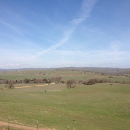 dlstelma's profile picture. Our mission at CWYC is to encourage your child to grow socially, academically, emotionally and physically thorough our Child Care/Day Camp.