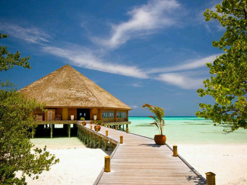 استشارات أسريه و عاطفيه ♥.  دبي UAE