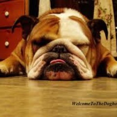 ButlerConfessio's profile picture. This is not affiliated with Butler University.
Use the survey to send us your crazy confessions. All confessions are anonymous so start confessing!