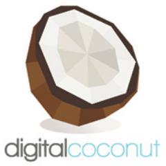 Digital Coconut helps luxury resorts, tourism boards & other travel related companies create and market enticing images, videos, websites & more.