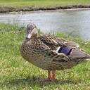 Marcus Chance - @TheMarcusChance - Twitter