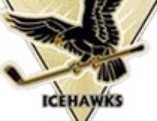 OFFICIAL TWITTER OF ICEHAWKS HOCKEY @DFHL_Hockey