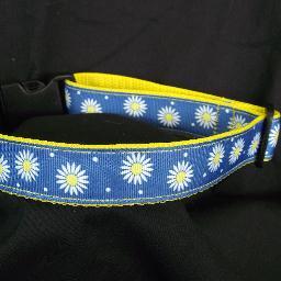 I make collars, leashes, harnesses, and martingale collars! I do custom orders!! http://t.co/TYSzPokxv3