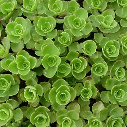 Green Roof And Solar System Installer located in Philadelphia