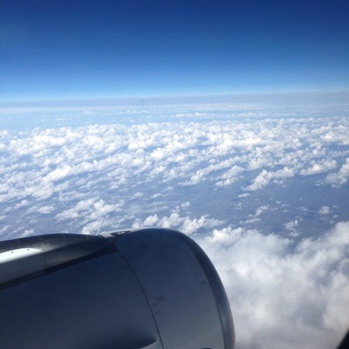 BienEtreCafe's profile picture. 