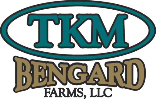 TKMBengard's profile picture. 