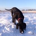 Geoff Parish - @Geoff_Parish77 - Twitter