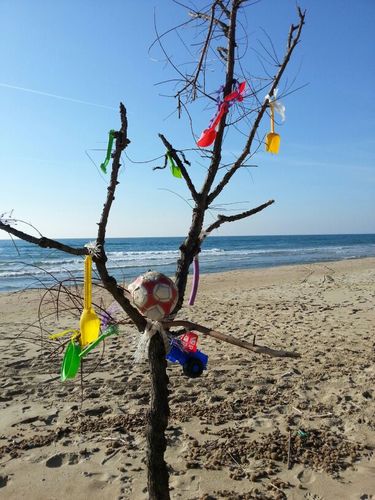 ctrillino67's profile picture. Navigare necesse est