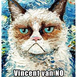 VincentVanNope's profile picture. A no nonsense grump.