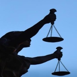Our mission: to reform from the bottom up the justice system’s response to adult survivors of child sex abuse who seek legal redress against their abusers.