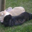 Beth Osborne - @libbyjobeth - Twitter