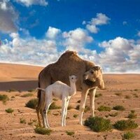 Rachid Tejekanitt (@tejekanite) 's Twitter Profile