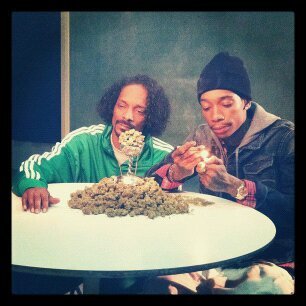 ilovecookiese's profile picture.