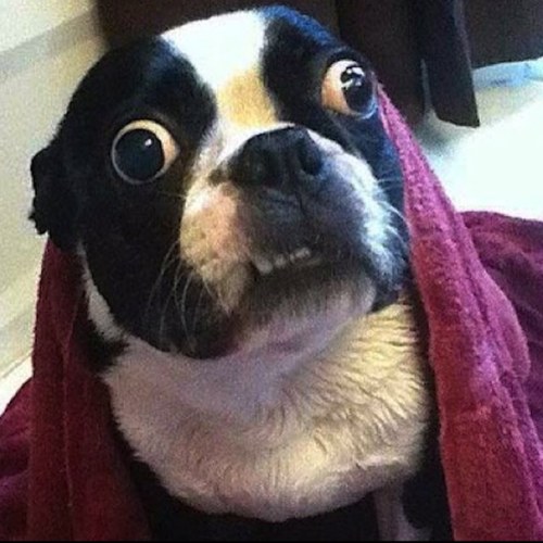 McNotBerty's profile picture. You're born, you try to keep your head down and you die .... If you're lucky.