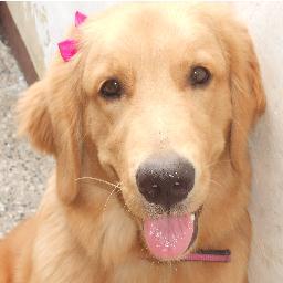 YuLi_AnAiS's profile picture. 