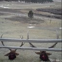 Lance Gann - @LanceGann - Twitter