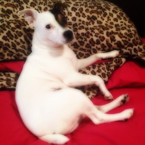 vivekg5p9617's profile picture. 