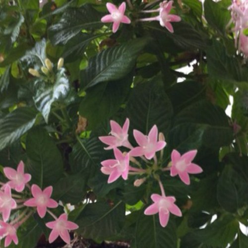 vivipulgar's profile picture. Una parada inesperada en la vida, me acercó más que nunca al mundo más fascinante y gratificante... mi familia.