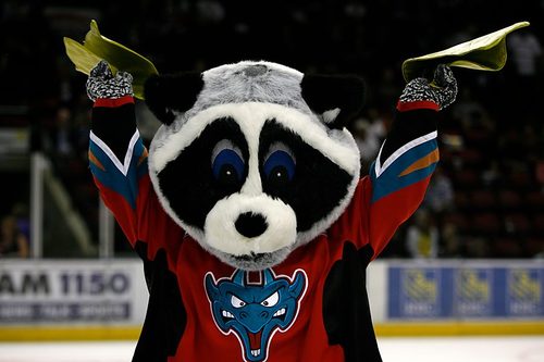 Image result for rocky the raccoon kelowna rockets