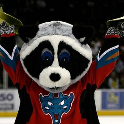 Rocky Raccoon on Twitter: “ROCKY CAM is getting finished tonight! Sorry