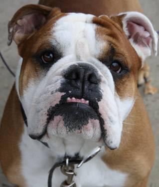 BUsecretadmirer's profile picture. Who do you admire?? Submit through the link 
All submissions are anonymous