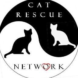 Established in 1999, the Cat Rescue Network seeks to give apparently unadoptable cats a second chance.
 Contact us for more info on how to adopt or foster!